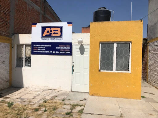 %fumigadores baratos en Apizaco Ab Control De Plagas Urbanas