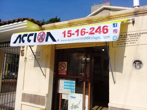 Fumigadores baratos en San Luis Potosi Acción Control De Plagas