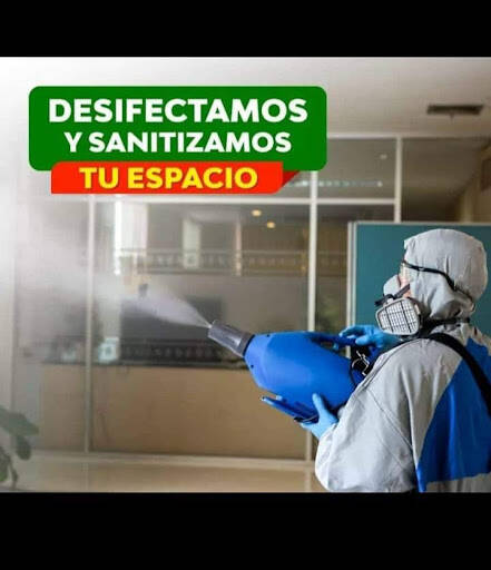 %fumigadores baratos en Puerto Vallarta Bio Pest Control