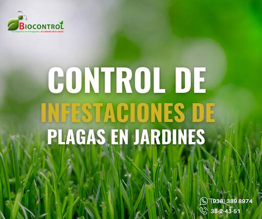%fumigadores baratos en Ciudad del Carmen Biocontrol