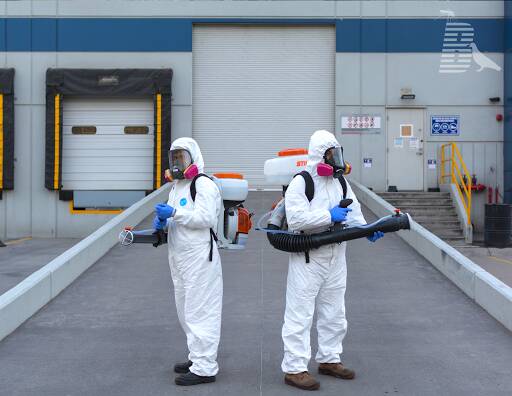 %fumigadores baratos en Toluca Bioquimi Control Y Fumigación Integral De Plagas