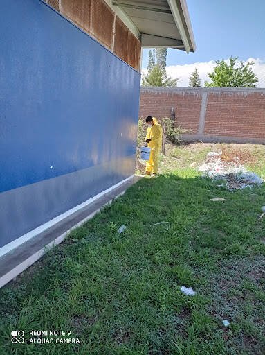 Bug Busters Fumigaciones, Lavado De Cisternas Y Tinacos