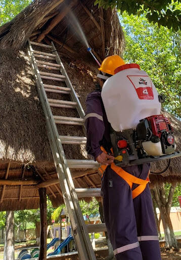 %fumigadores baratos en Chetumal Control De Plagas Fumicalix