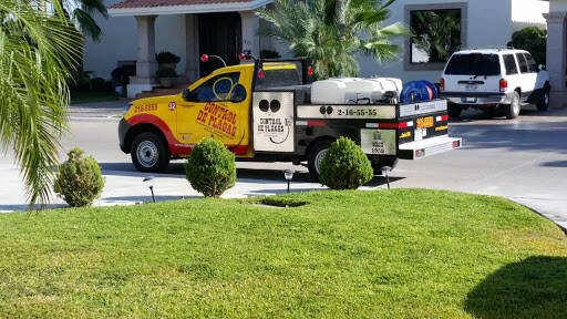 %fumigadores baratos en Hermosillo Control De Plagas Hermosillo