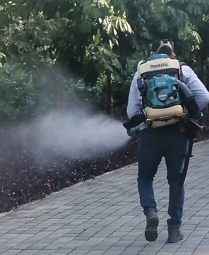 %fumigadores baratos en Puerto Vallarta Control De Plagas Veracruz