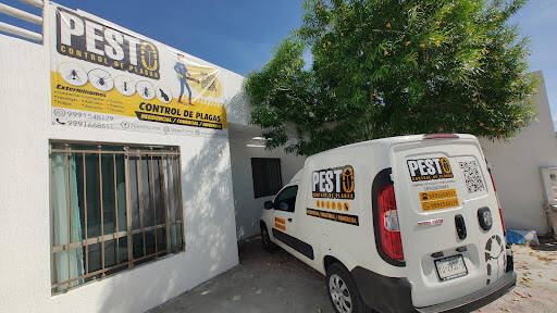 %fumigadores baratos en Merida Control De Plagas Y Fumigaciones Pesto