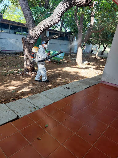 %fumigadores baratos en Chetumal Control Integral De Plagas 3D