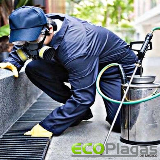 %fumigadores baratos en Chihuahua Control Total De Plagas