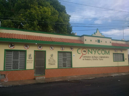 %fumigadores baratos en Progreso Conycom
