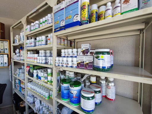 Fumigadores baratos en San Luis Potosi Corporativo Tangamanga S.A. De C.V.