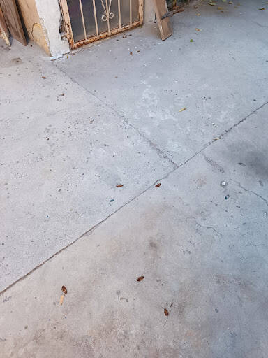 %fumigadores baratos en Los Mochis Cpd Fumigaciónes