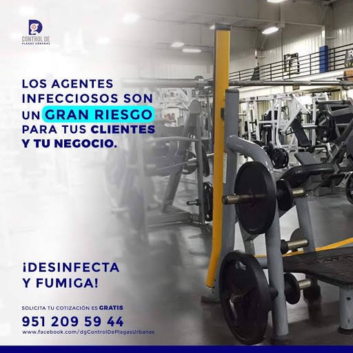 Fumigadores baratos en Oaxaca Dg Control De Plagas Urbanas (Fumigaciones Y Sanitización En Oaxaca)