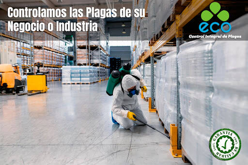 %fumigadores baratos en Merida Eco Control Integral De Plagas