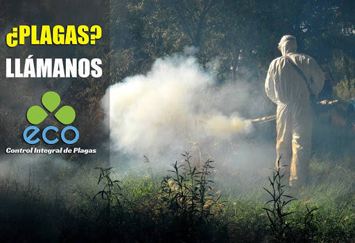 %fumigadores baratos en Merida Eco Control Integral De Plagas