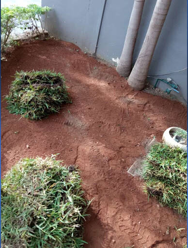 %fumigadores baratos en Merida Eco Tap Jardinería Fumigación Integral Mantenimientos Empresas Jardines Jardineros Mérida