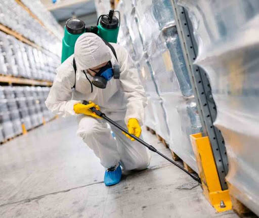 %fumigadores baratos en Gomez Palacio Ecolag
