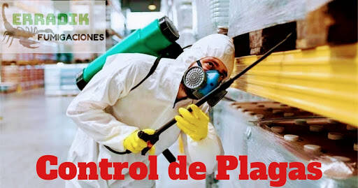 %fumigadores baratos en Puerto Vallarta Erradik Fumigaciones Vallarta
