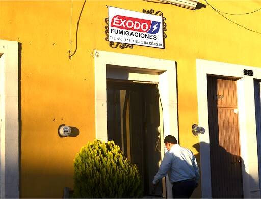 Fumigadores baratos en Durango Éxodo Fumigaciones