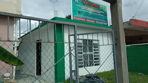 %fumigadores baratos en Chetumal Exterman Control De Plagas: Fumigaciones, Saneamiento Y Desinfección