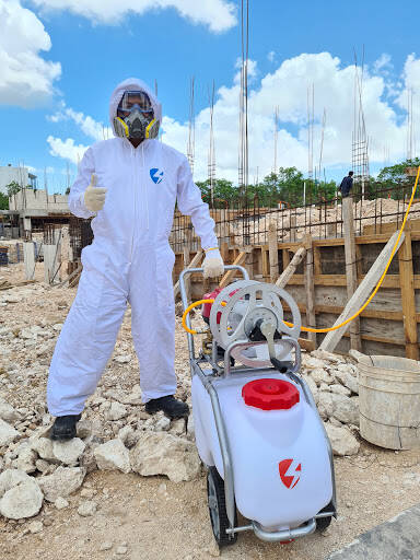 %fumigadores baratos en Cancún Force - Empresa De Fumigación Y Desinfección Cancún