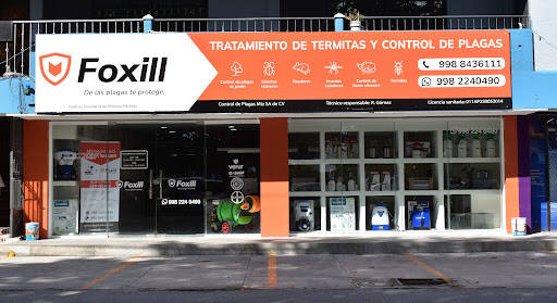 %fumigadores baratos en Cancún Foxill Control De Plagas