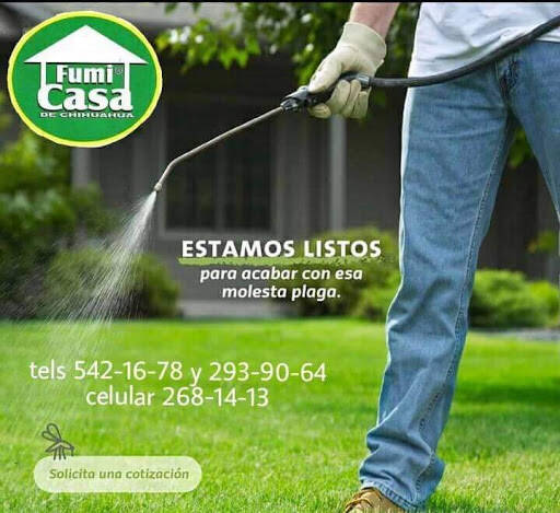 %fumigadores baratos en Chihuahua Fumi-Casa De Chihuahua