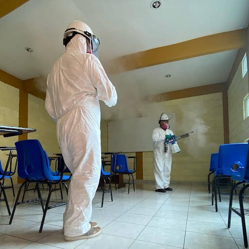 Fumigadores baratos en Oaxaca Fumicentrall Sa De Cv Fumigación Y Desinfección