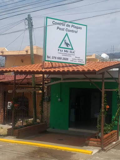 %fumigadores baratos en San Antonio Tlayacapan Fumiga Control De Plagas Y Termitas