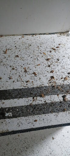 %fumigadores baratos en Tultitlán de Mariano Escobedo Fumiga-Killer