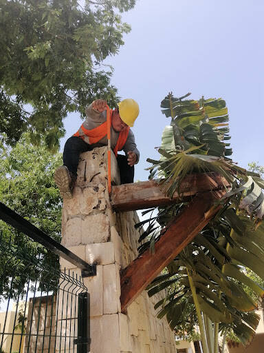 %fumigadores baratos en Kanasín Fumigacion, Desinfección, Servicios Generales E Informática