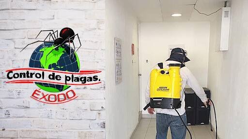 Fumigadores baratos en San Luis Potosi Fumigación Y Control De Plagas En San Luis Potosí