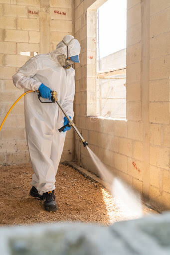 %fumigadores baratos en Merida Fumigación Y Control De Plagas Mostela