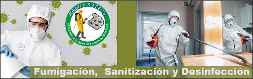 %fumigadores baratos en Zacatelco Fumigacióne Y Control De Plagas Furotla S.A De C.V