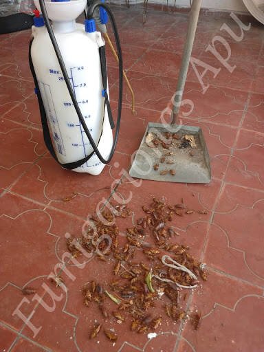 Fumigaciones Apu