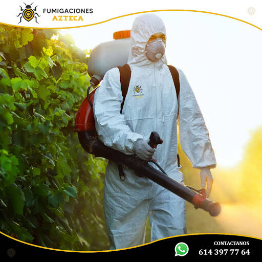 %fumigadores baratos en Chihuahua Fumigaciones Azteca