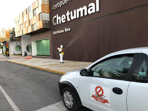 %fumigadores baratos en Bacalar Fumigaciones Bacalar,Chetumal,Mahahual, T Control De Plagas Certificamos Nuestros Servicios