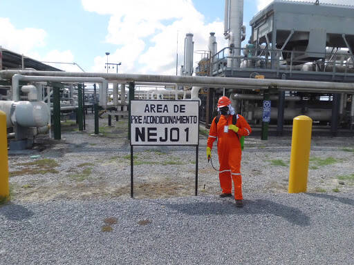 %fumigadores baratos en Reynosa Fumigaciones Bgm