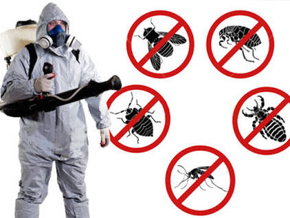 %fumigadores baratos en Pachuca Fumigaciones Biotec One