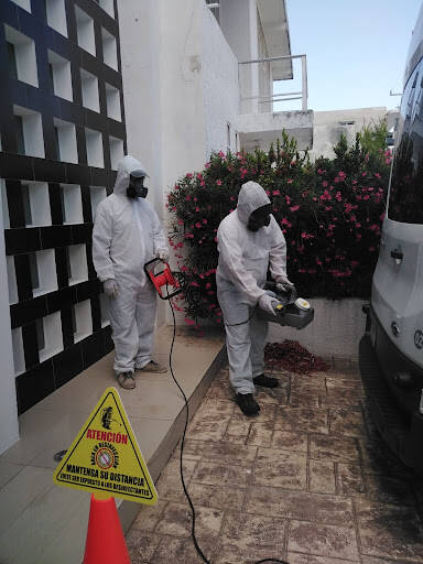 %fumigadores baratos en Playa del Carmen Fumigaciones Caribbeans Pest Control