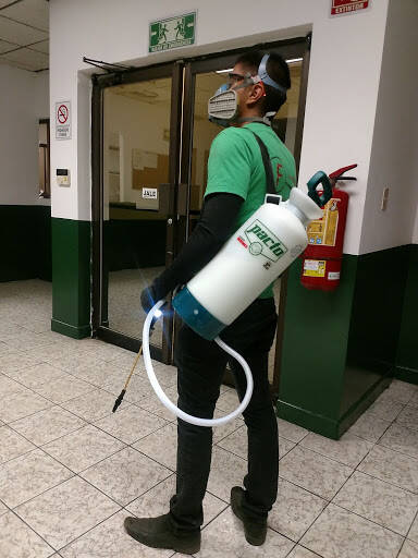 %fumigadores baratos en Chihuahua Fumigaciones Chihuahua