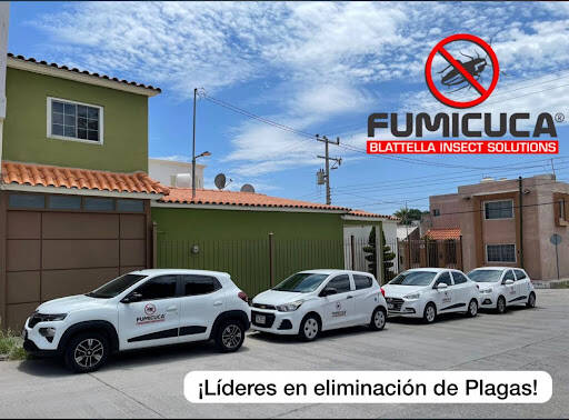 %fumigadores baratos en Chihuahua Fumigaciones Contreras By Fumicuca