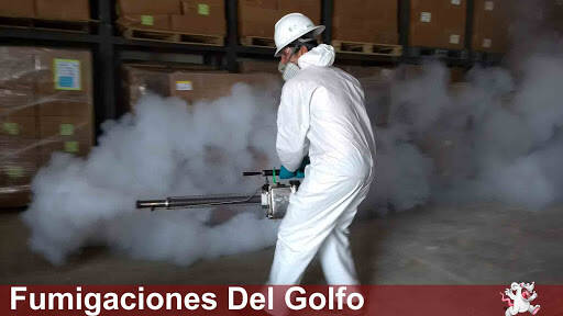 %fumigadores baratos en Tampico Fumigaciones Del Golfo Tampico