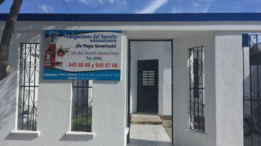 %fumigadores baratos en Merida Fumigaciones Del Sureste