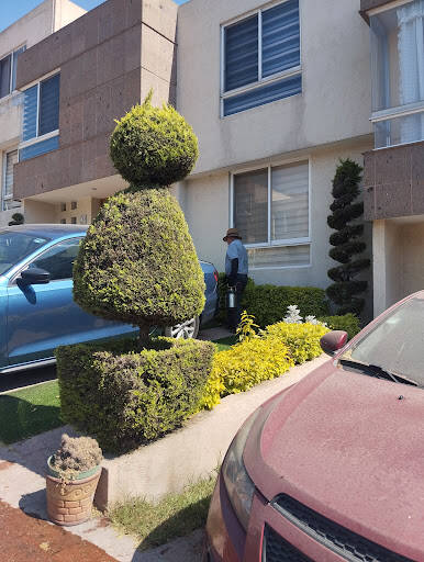 %fumigadores baratos en Tlalnepantla de Baz Fumigaciones Dragones De América