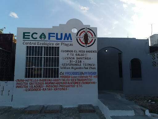 %fumigadores baratos en Merida Fumigaciones Ecofum