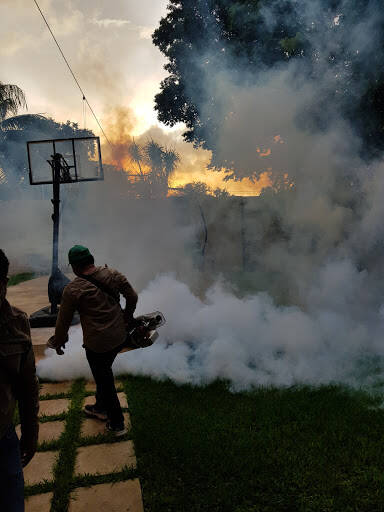 %fumigadores baratos en Merida Fumigaciones Ecológicas Del Mayab S.A De C.V
