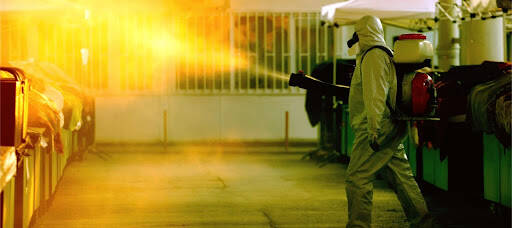 %fumigadores baratos en Monterrey Fumigaciones En Monterrey | Fumijar
