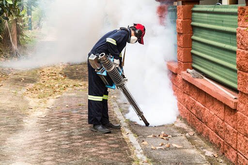 Fumigadores baratos en Oaxaca Fumigaciones En Oaxaca Y Control De Plagas En Oaxaca Fumgra