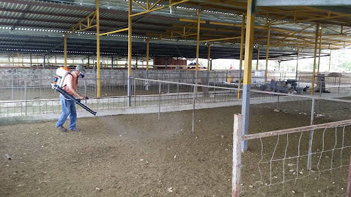 %fumigadores baratos en Chetumal Fumigaciones En Un 2X3