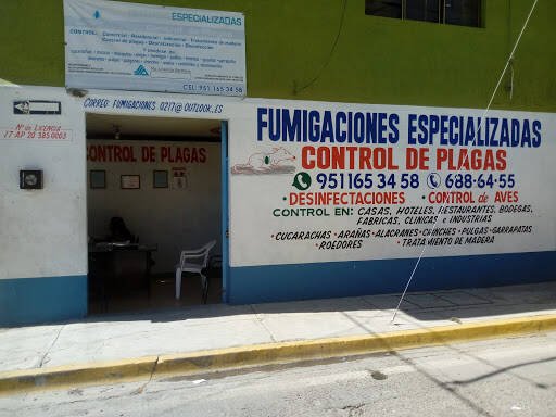 Fumigadores baratos en Oaxaca Fumigaciones Especializadas/ Control De Plagas Oaxaca